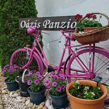 Oazis Panzio Nocleg ze śniadaniem