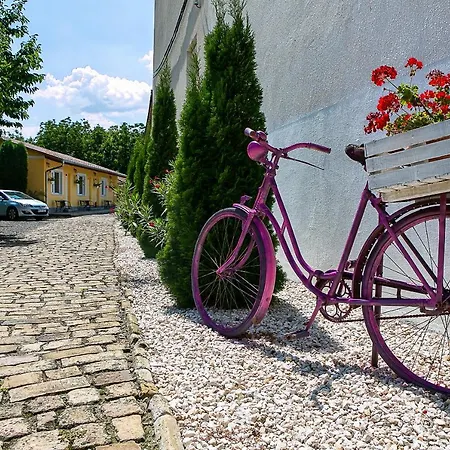Bed & Breakfast Oazis Panzio