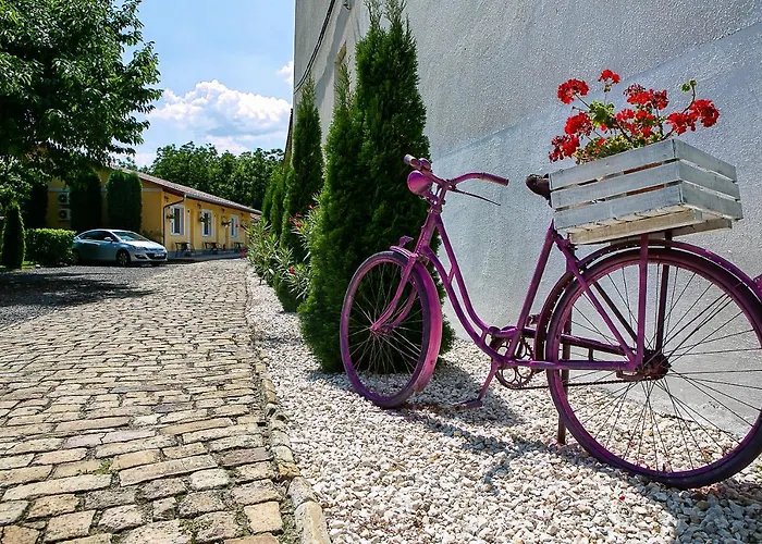 B&B Oazis Panzio